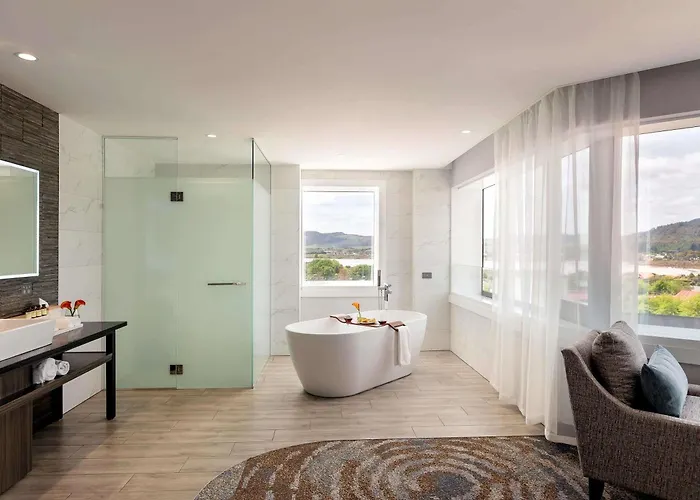 Pullman ホテル 5*
